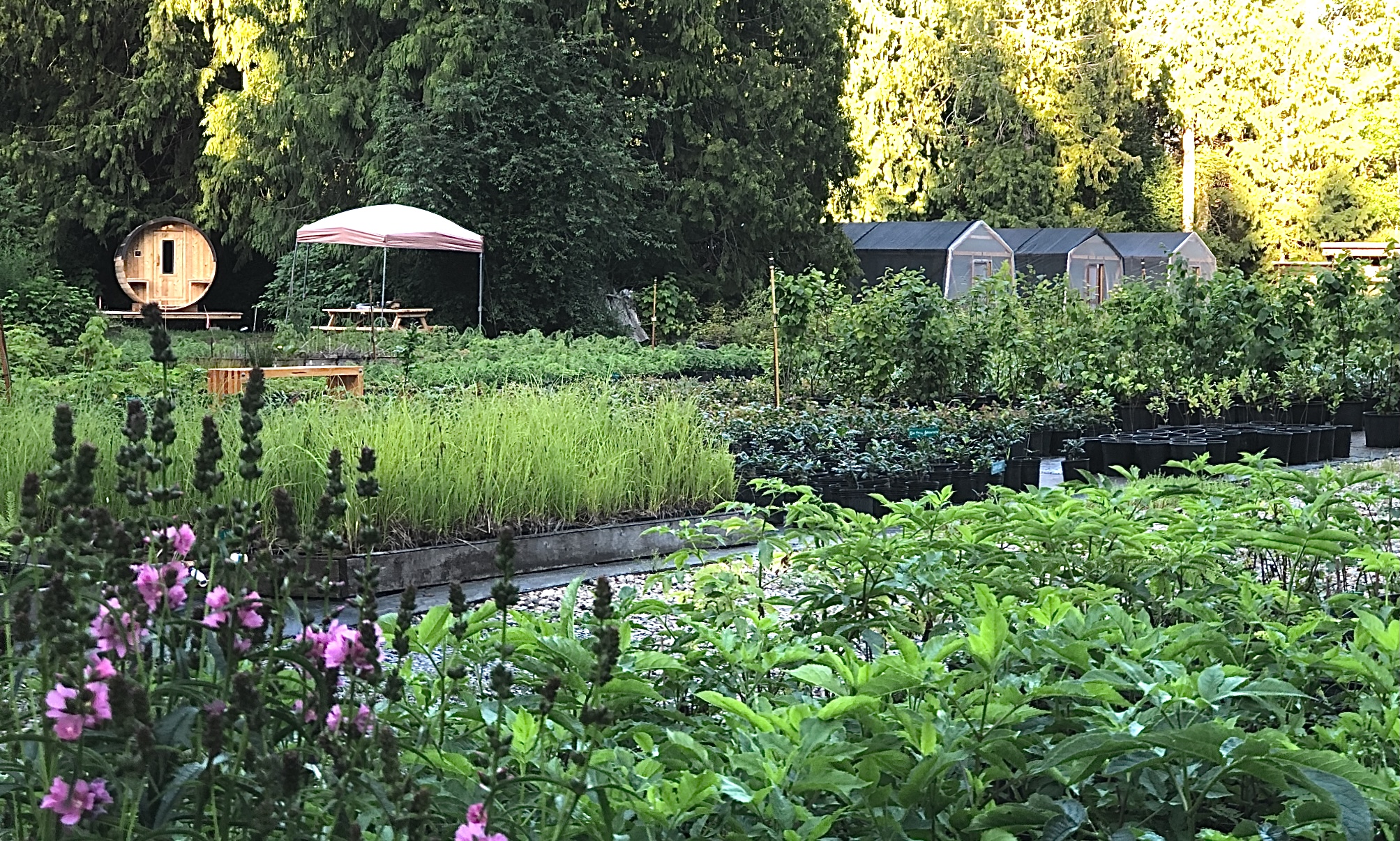 View of
                  nursery