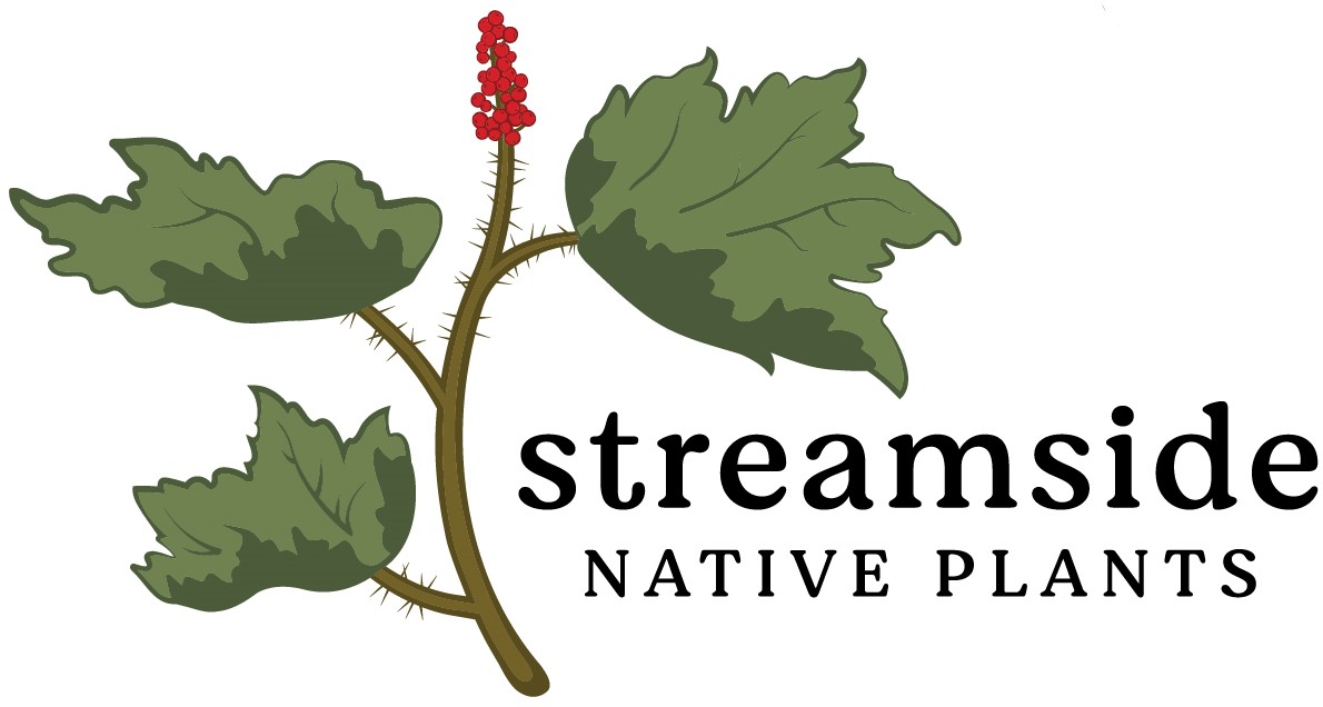 Streamside logo